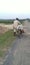 A old man carry luggage  and free riding by bicycle in madhubani bihar India