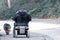 Old man drives an electric wheelchair and is accompanied by his faithful dog