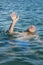 Old Man Drowning Sea Help Stroke Pain