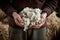 Old man gathers sheared sheep wool from ground on farm yard woven material producing