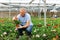 Old man grower sitting down and looking to the pot of geranium flower in greenhouse