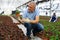 Old man grower sitting down and looking to the pot of peperomia in greenhouse