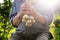 Old man holding a fresh garlic in a nature. Natural background. Farmer. Medicine and healthy. Traditional medicine.