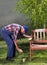 Old man painting bench in garden