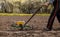 An old man pushes a manual seeder for a beet in front of him. Agriculture, farming, beetroot, vegetable garden