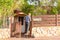 Old Man Repairing Wooden Gate Near Home.