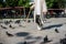 Old man with a stick  walks near the flocks of pigeons