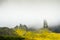 The old man of Storr rock and fog on Isle of Skye mountains. Scotland