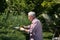 Old man trimming hedge in garden