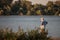 Old man walking and admiring the nature and the Danube river in Belgrade wearing face mask protective equipment during Coronavirus