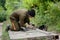 Old man welder in brown uniform prepares metal door surface for welding with arc welding machine outdoors