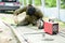 Old man welder in brown uniform, welding mask and welders leathers, weld metal door with arc welding machine outdoors