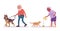 Old man, woman elderly person feeding cat, walking with dog