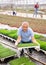 Old man worker sitting down holding planted decorative moss in greenhouse
