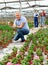 Old man worker sitting down holding a pot of geranium flower in greenhouse