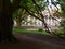 Old manor with columns in a green park. Wolsztyn, Poland