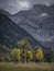 Old maple trees in front of mountains of Karwendel at Ahornboden in Austria Tyrol in autumn