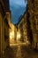 Old medieval cobbled street in the historical center of Riga at night