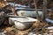 Old metal bathtubs left in the woods