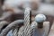 Old metal bolt and steel cable in rust. Fragment, detail.