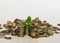 Old metal coins of various shapes, countries and values, green money tree seedling in the foreground, money saving