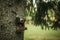 An old metal film camera in a leather case, hanging on a tree in the garden.