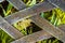 The old metal handmade back texture of the bench with ferns view