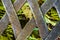 The old metal handmade back texture of the bench with ferns view