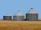 Old metal prairie grain bins in wheat field.