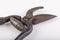 Old metal pruning shears. Garden accessories used in the household