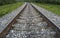 Old metal rails and sleepers on which the train travels through the green nature