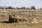 Old metal round bale hay feeder with leftover hay in bottom out in field in winter time with trees on the fenceline on horizon