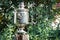 Old metal samovar on green leaves background. Samovar is using for boiling water to drink tea instead of kettle.