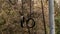 Old metal sports rings on chains, outdoor gym