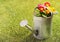 Old metal watering can on grass