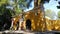 Old Mexican Church surrounded by trees in Coyoacan