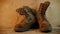 Old military boots on a wooden table