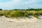 Old military observation tower on the beach of Hel, Poland. Sandy beach with green and yellow grass on a beautiful