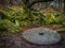 Old Millstone on the forest floor
