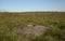 Old Millstone at Longshaw