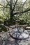 Old millstone in Padley Gorge