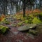 Old Millstone beside path in Padley Gorge woods