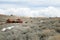 Old mining ghost town Bodie houses