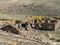 Old mining ruins made of rock in the Nevada desert during autumn