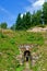 Old mining tunnel. Tin mine Mauritius.