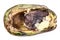 Old moldy avocado on white background, unhealthy and disgusting fruit