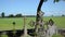 Old moss cross cemetery