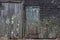 Old moss and mold covered clapboard siding of a lobster dock fishing shack on the New England Coast