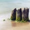 Old mossy groynes in the sea