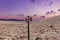 Old mountain crossroads signpost and colorful sunset sky